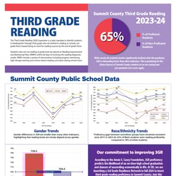Thumbnail - 3rd grade reading poster 2024