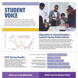 Thumbnail - SEI_StudentVoice24_Poster_Final