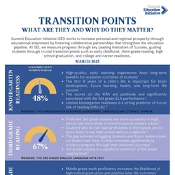 Thumbnail SEI__transition-point-2-pager_Page_1